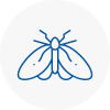 Moth Control Specialists In Herne Hill